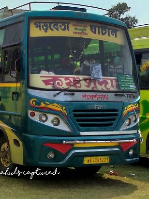 Bus