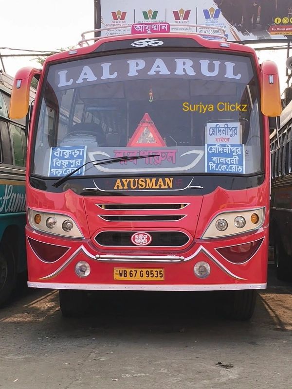 Bus