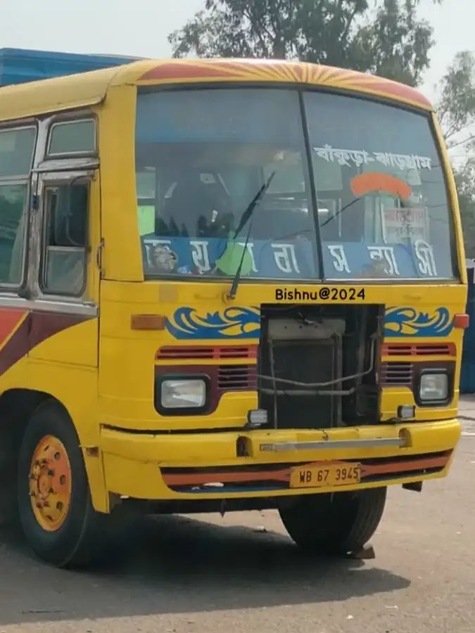 Bus