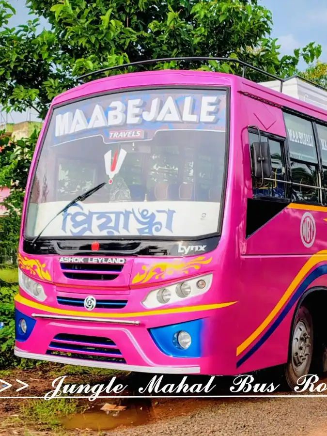 Bus