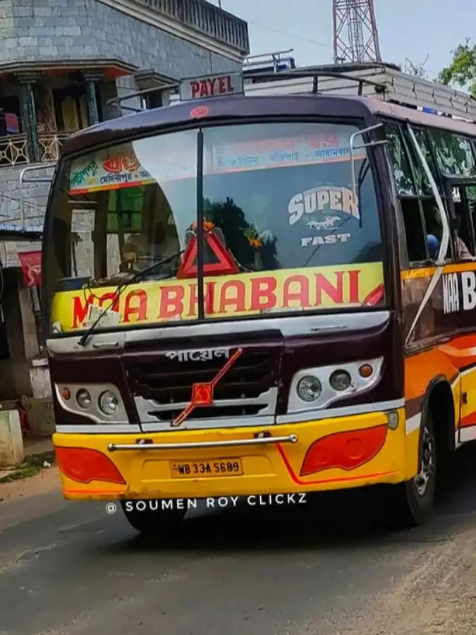Bus
