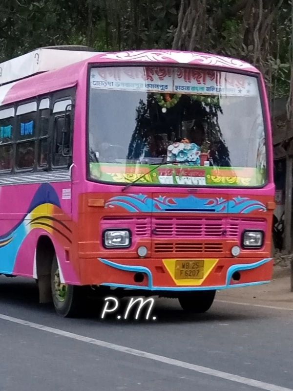 Bus