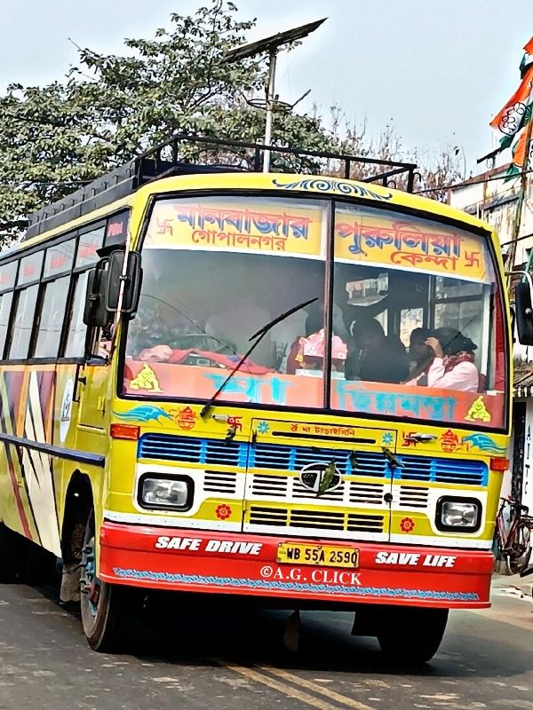 Bus