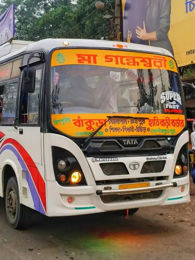 Bus