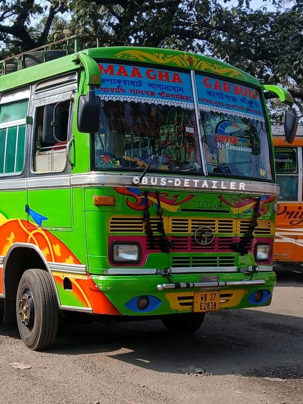 Bus