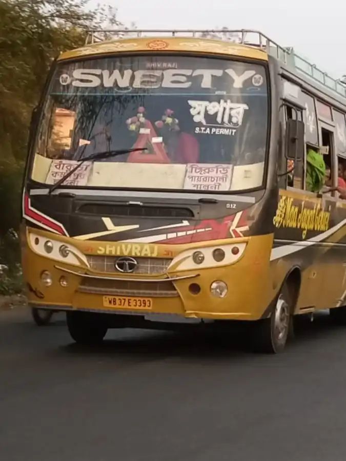 Bus