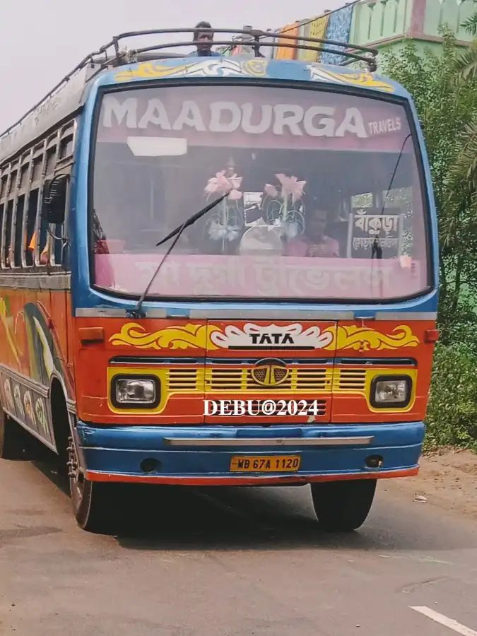 Bus