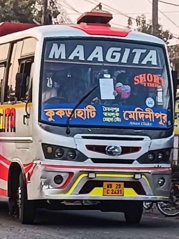 Bus