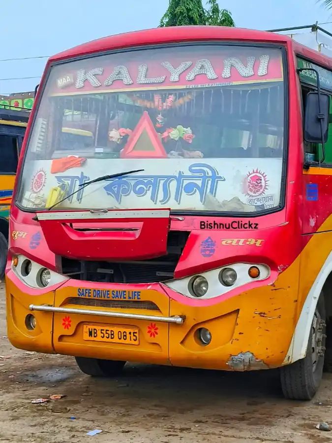 Bus