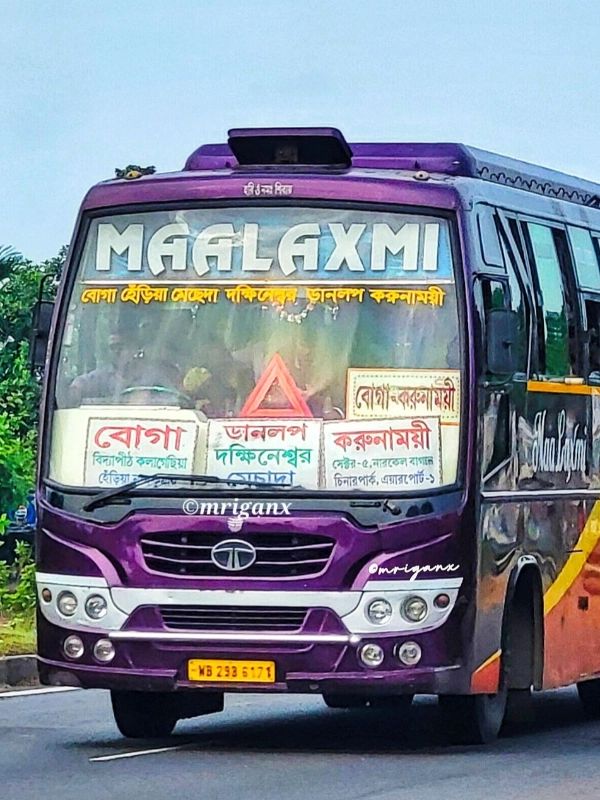 Bus
