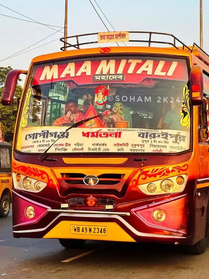 Bus