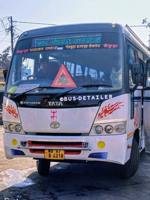 Bus