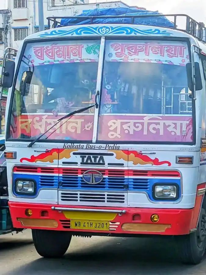 Bus