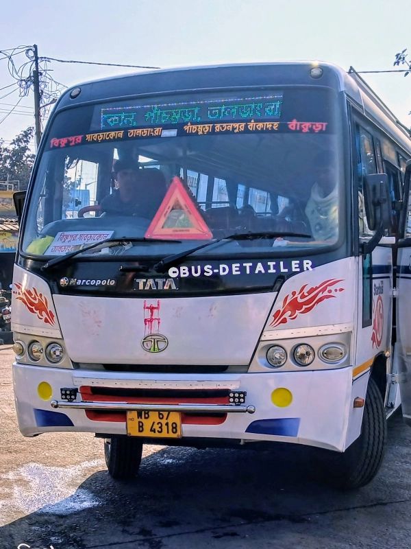 Bus