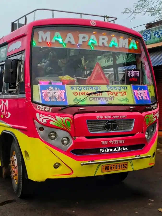 Bus