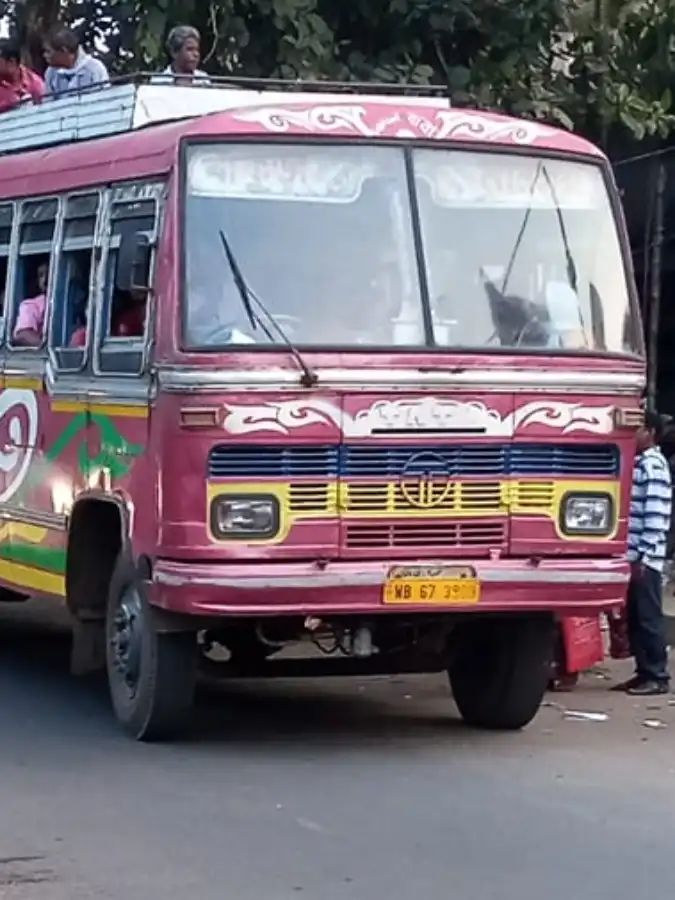 Bus