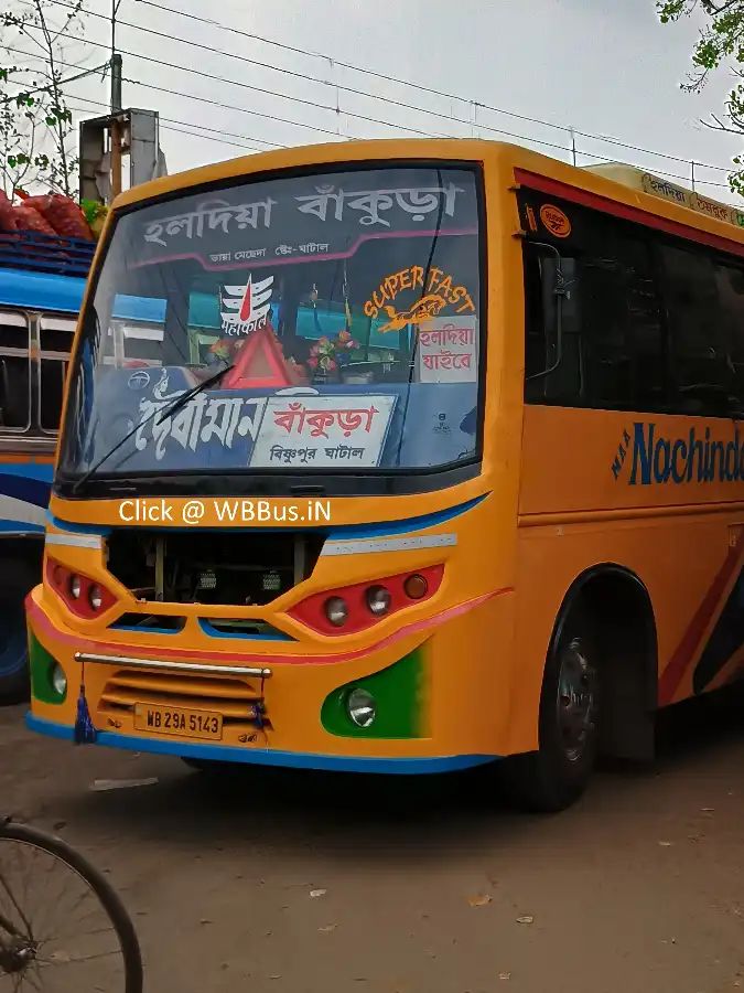 Bus