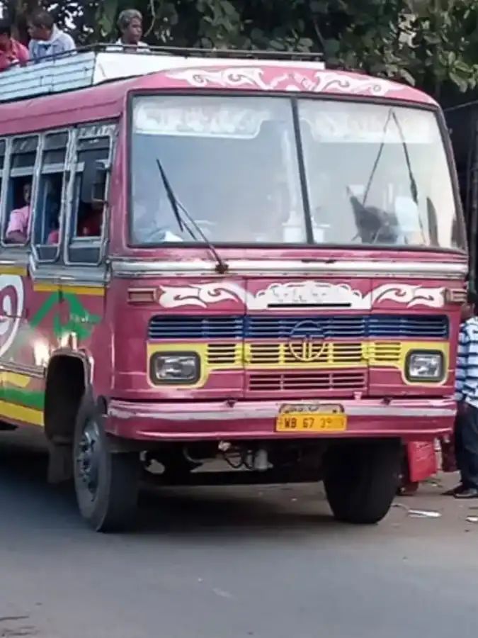 Bus
