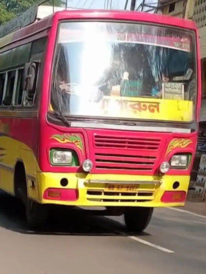 Bus