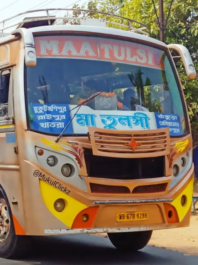 Bus