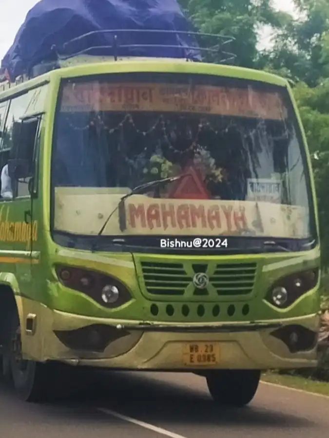 Bus