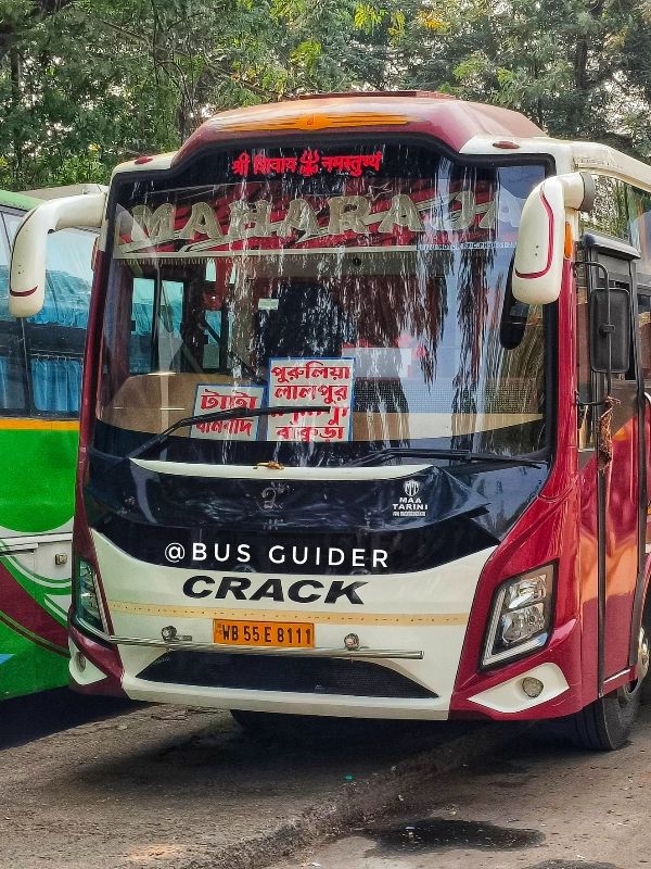 Bus