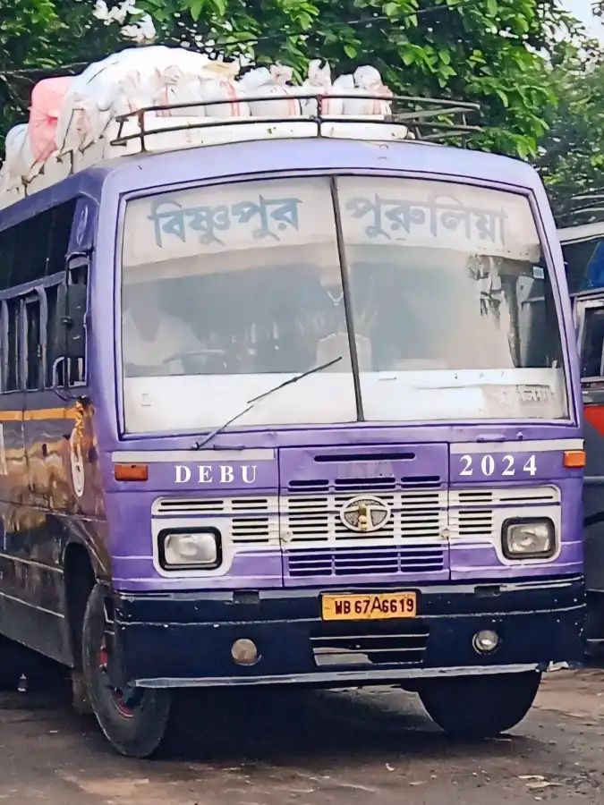 Bus