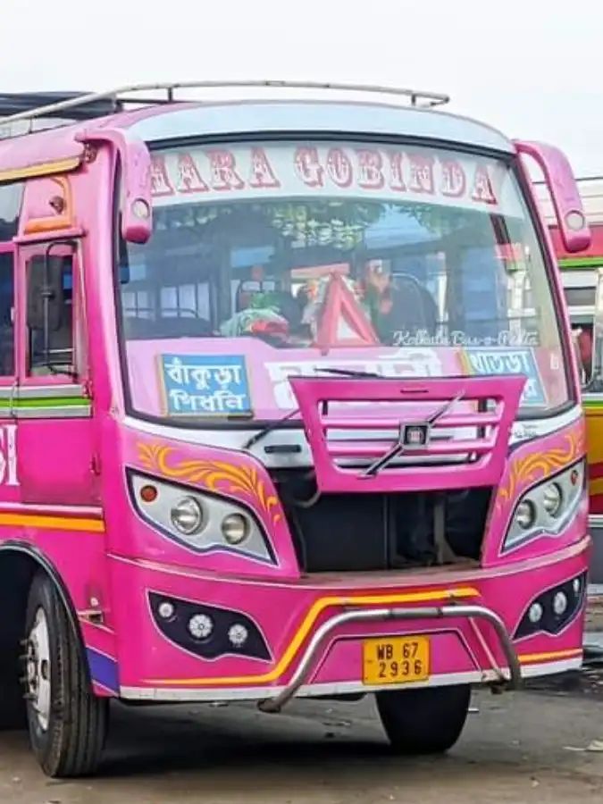 Bus