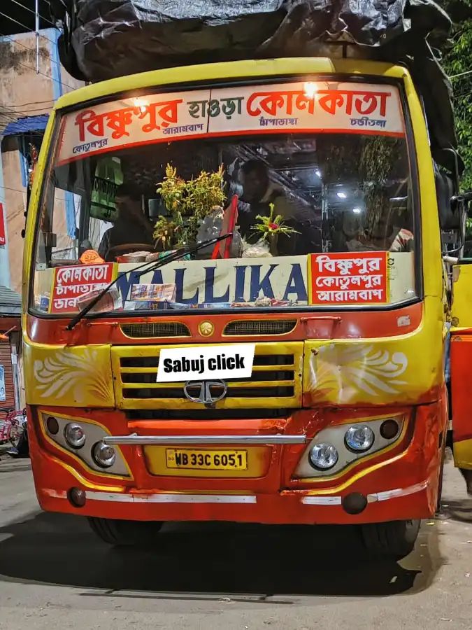 Bus