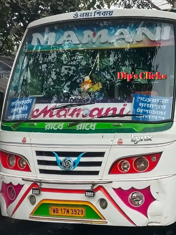 Bus
