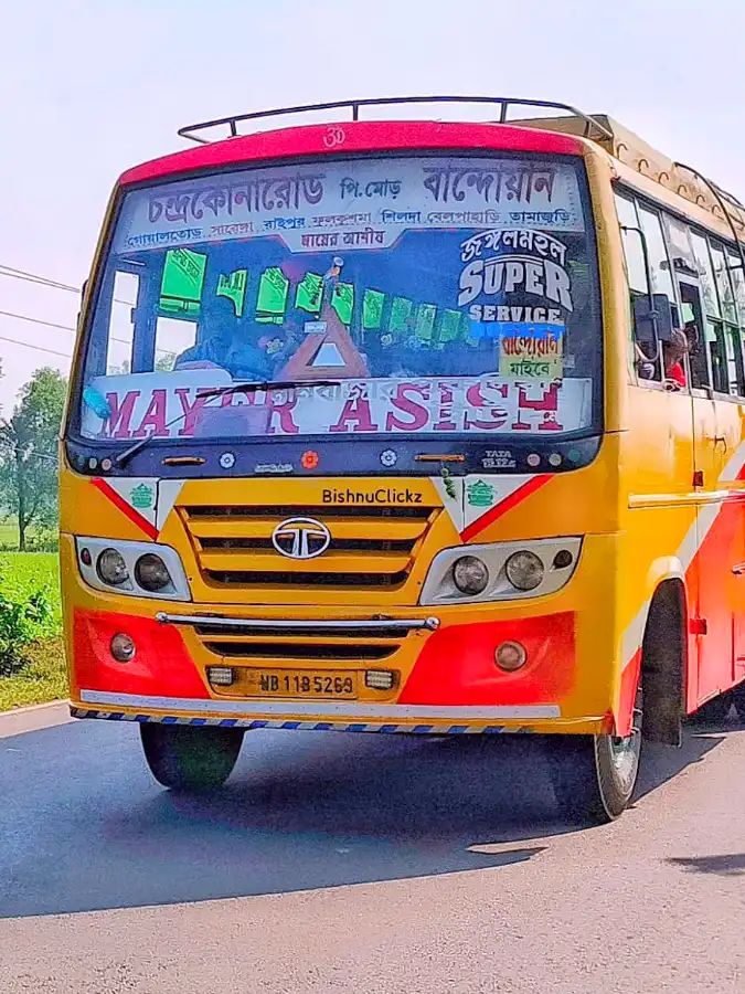 Bus