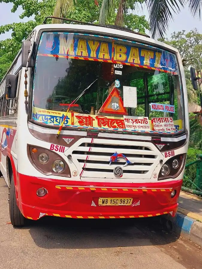 Bus