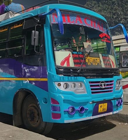 Bus