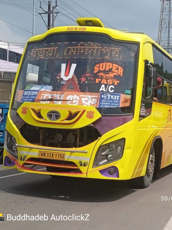 Bus