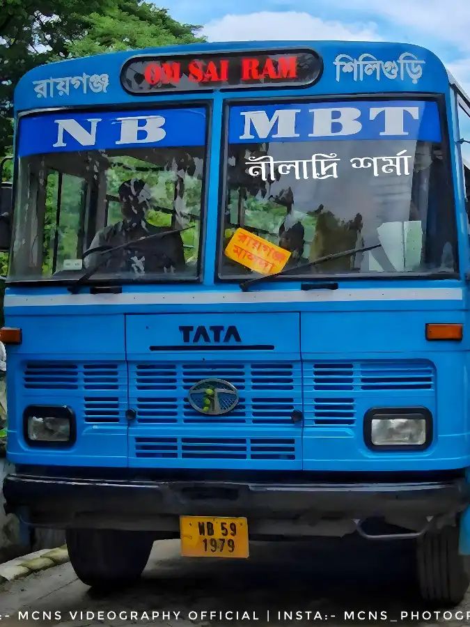Bus