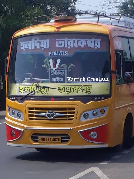 Bus