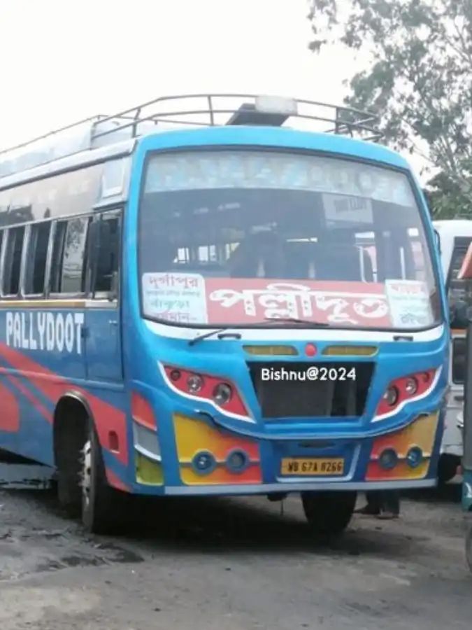 Bus