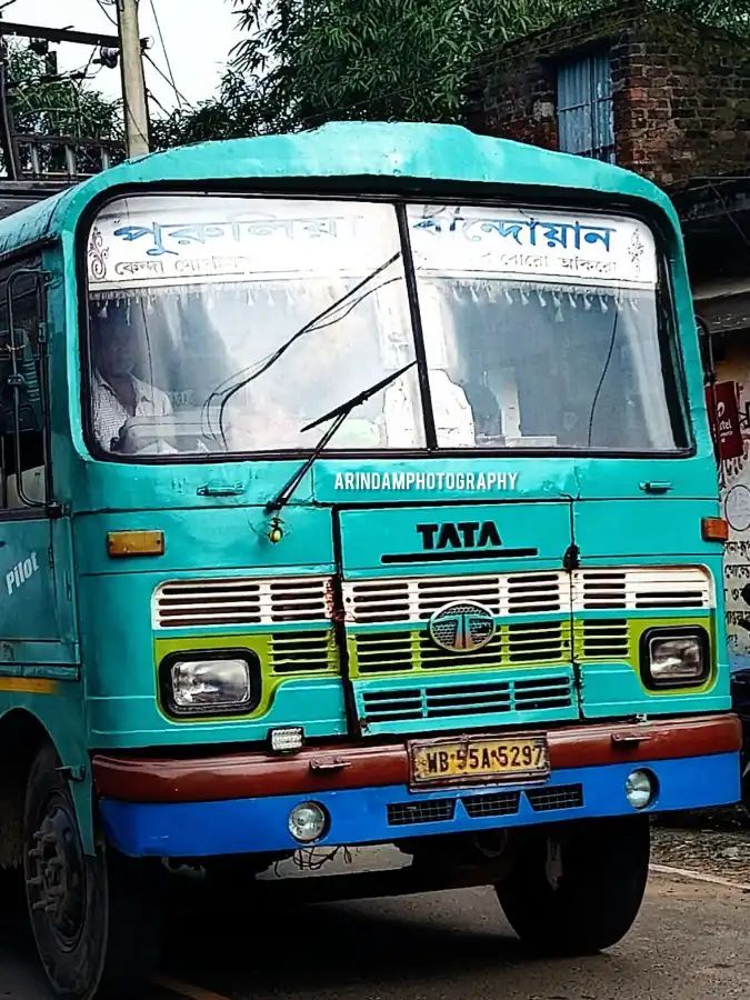 Bus