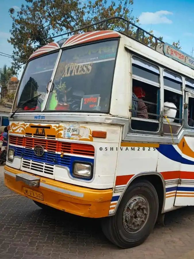 Bus