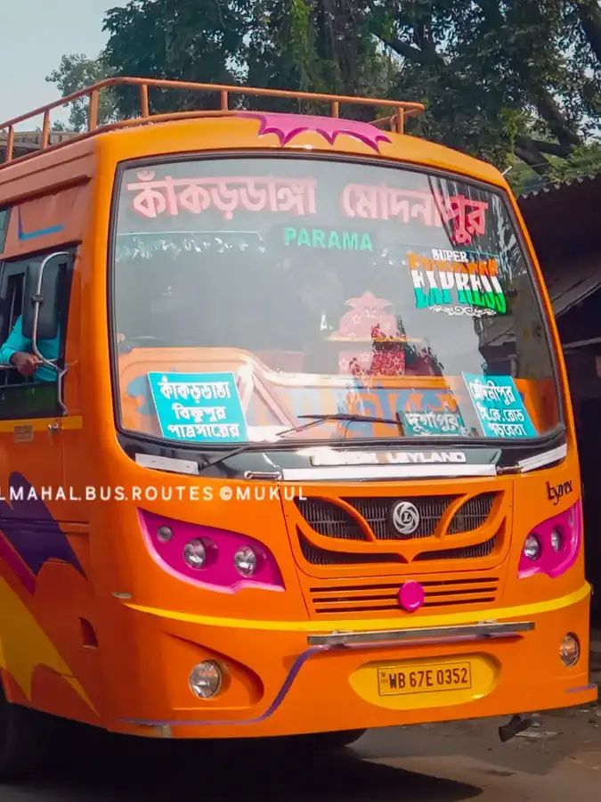 Bus