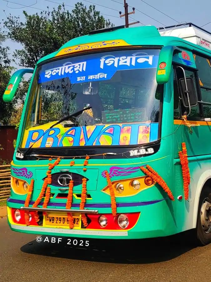 Bus