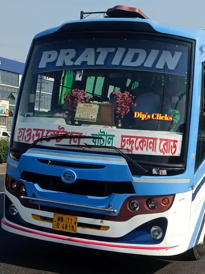 Bus