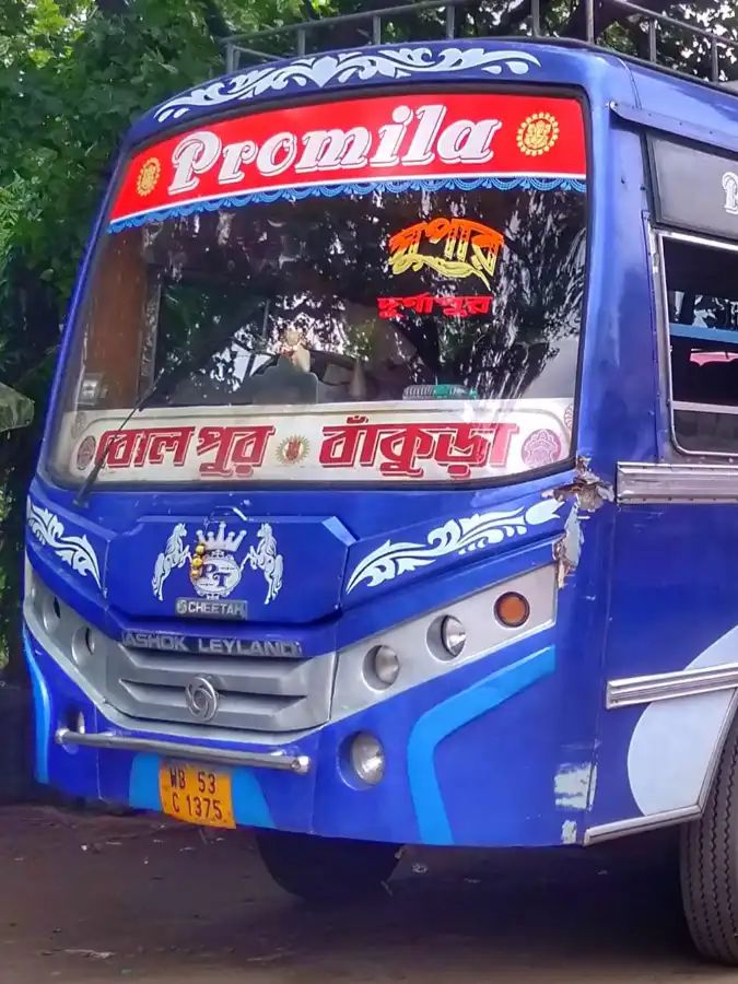 Bus