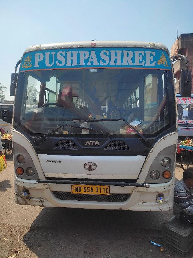 Bus