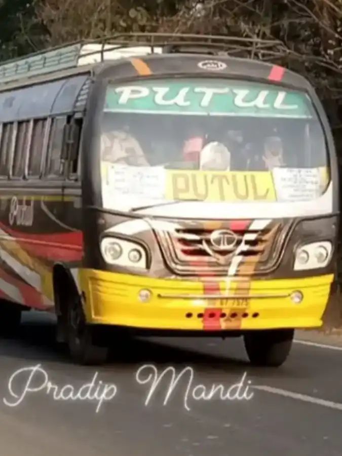 Bus