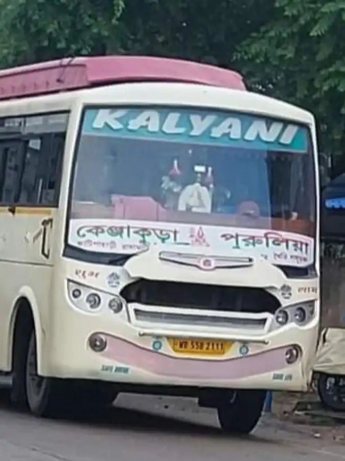 Bus