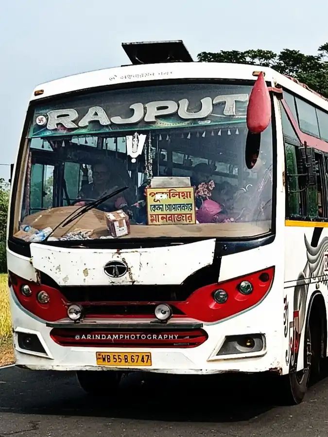 Bus
