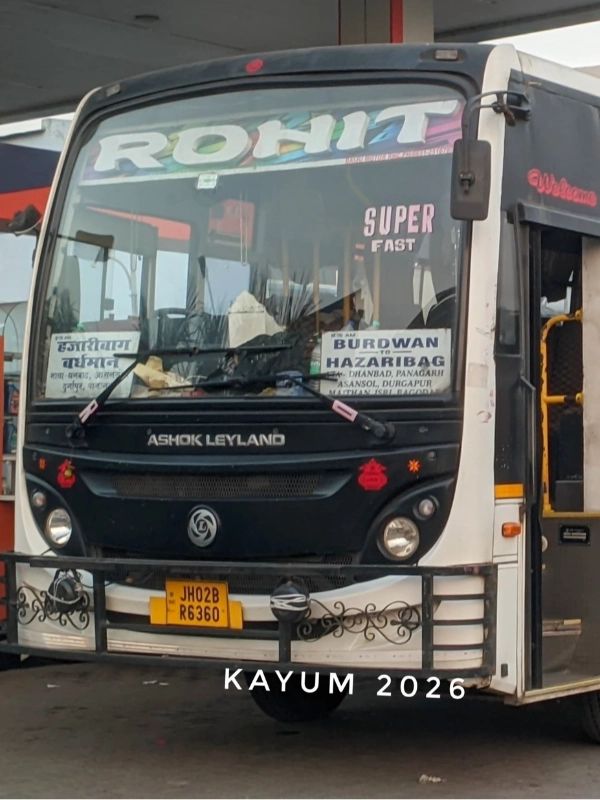 Bus