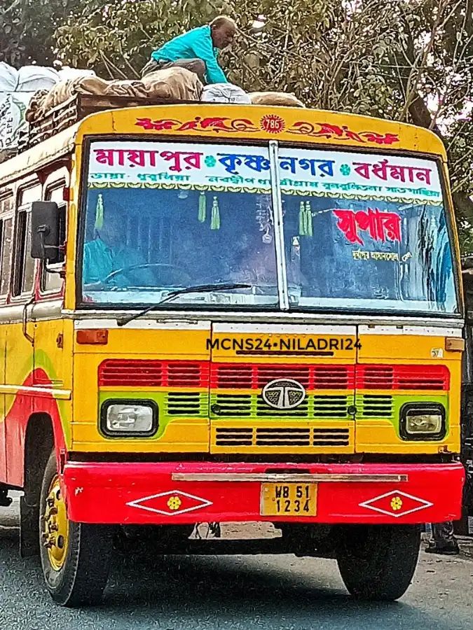 Bus