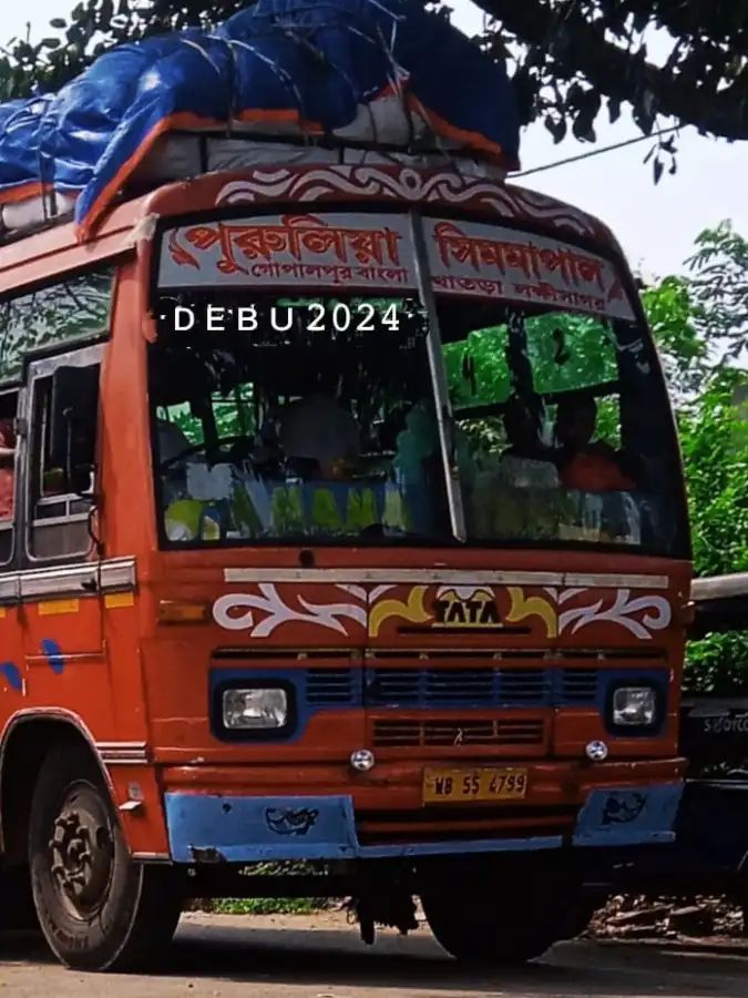 Bus